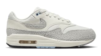 Nike Air Max 1 '87 Women's 