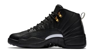 the master 12 jordans