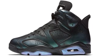 jordan retro 6 all star chameleon