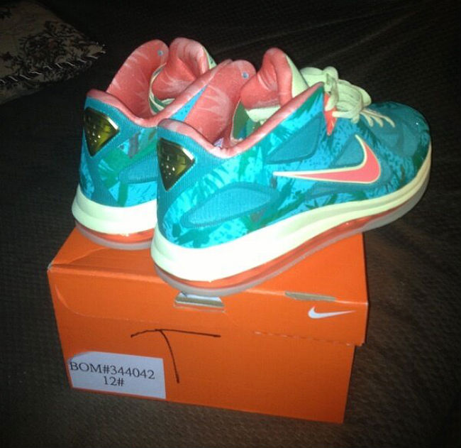 Nike LeBron 9 Low LeBronold Palmer Reverse Sample