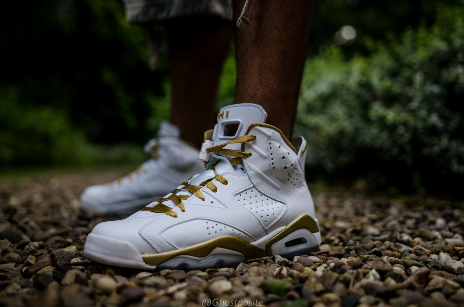 Air Jordan 6 GMP