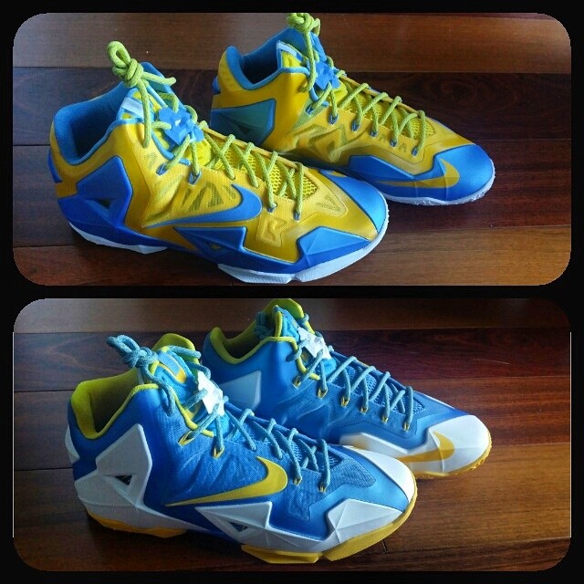 Swin Cash Chicago Sky Nike LeBron XI 11 PE