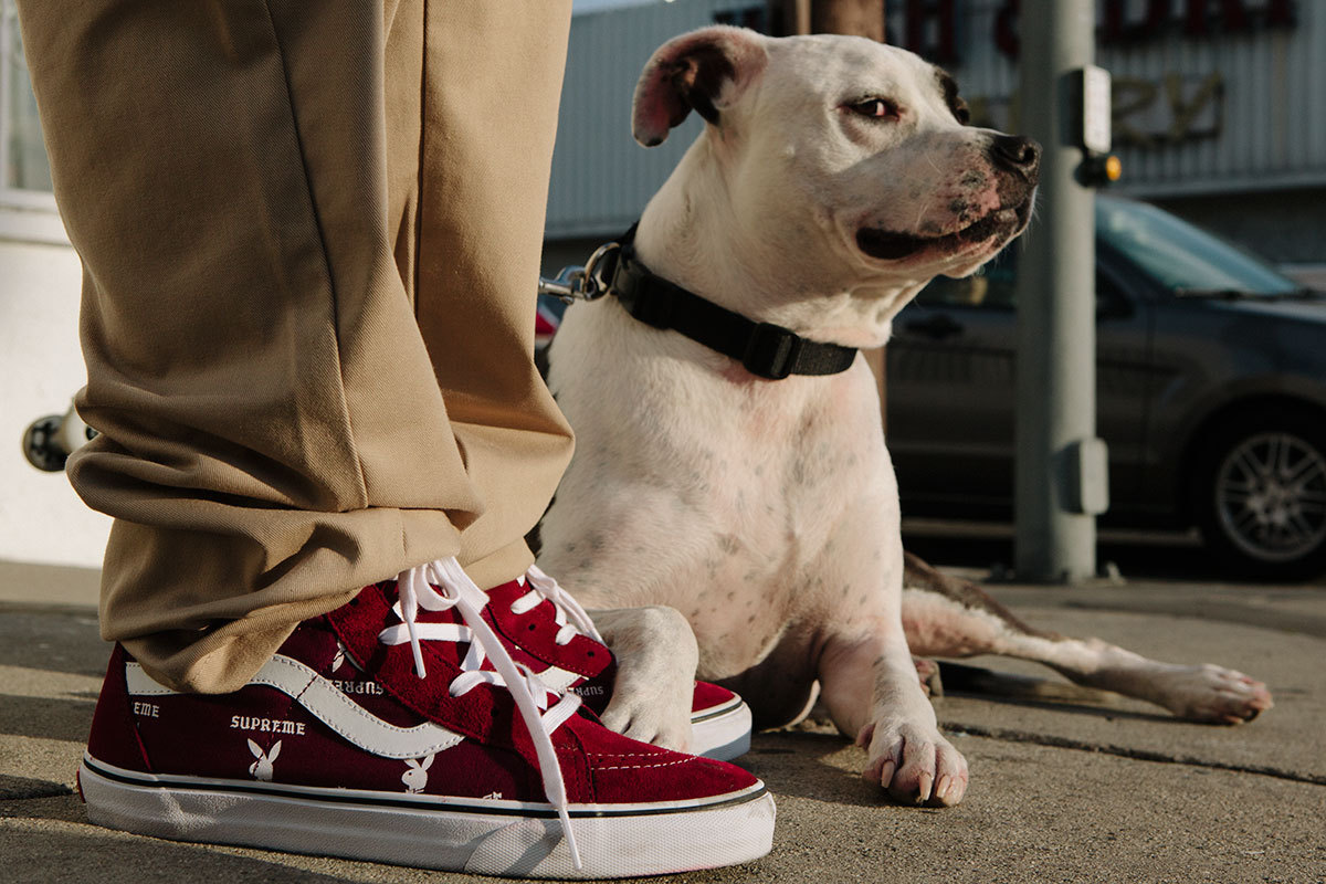 supreme x playboy x vans collection