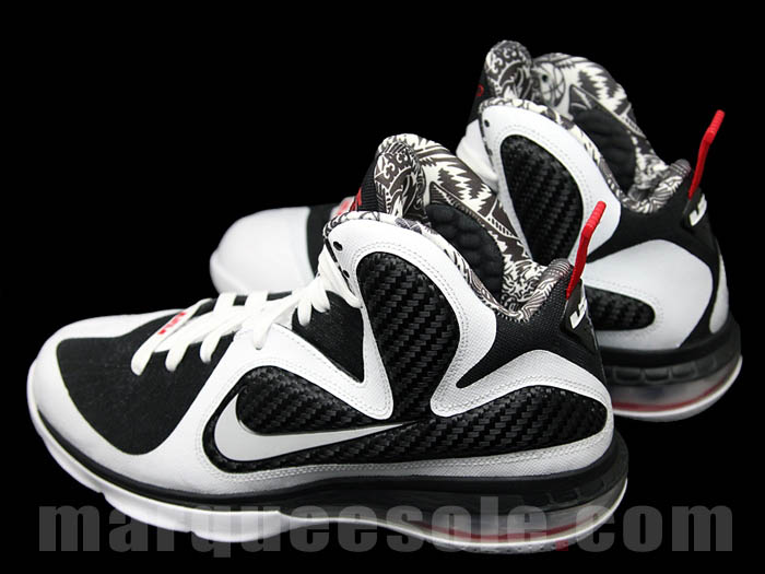  Freegums x Nike LeBron 9 5