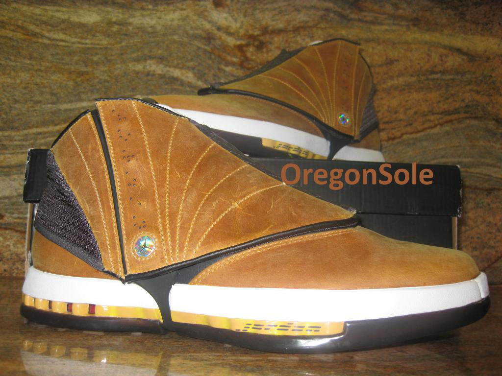 Air Jordan XVI 16 Ginger Sample