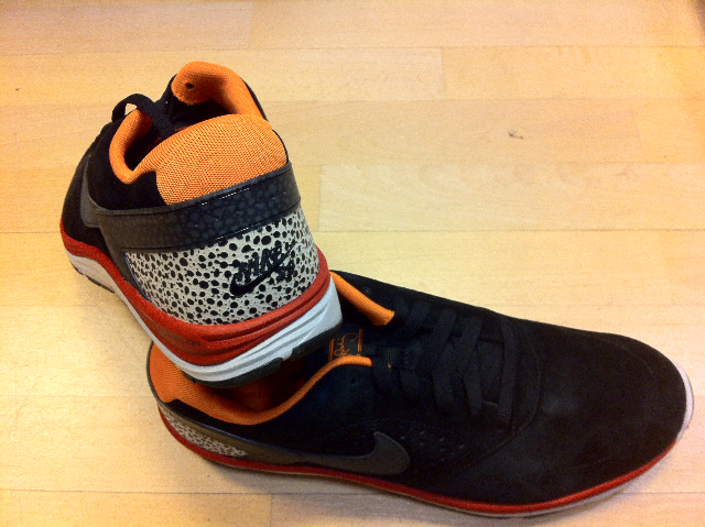 nike sb primitive