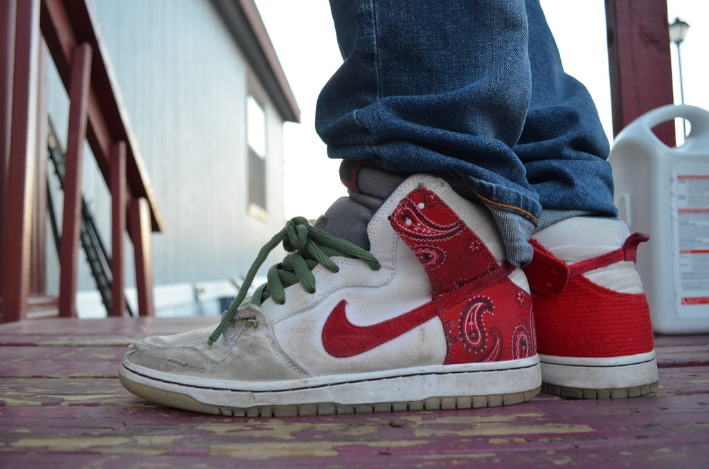 nike sb dunk cheech and chong