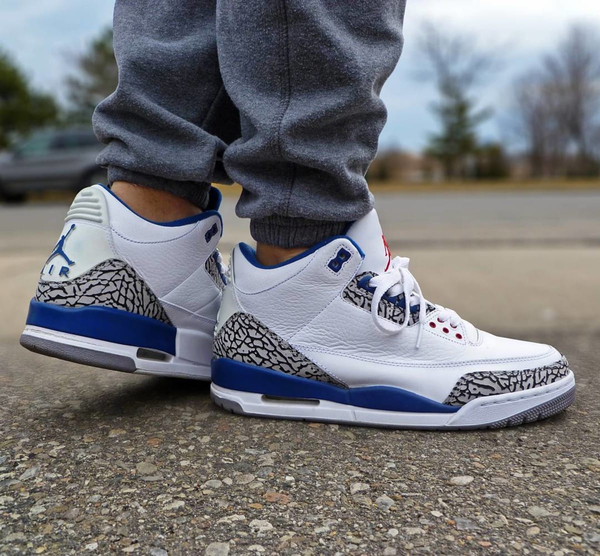 jordan retro 3s blue TGS A.A
