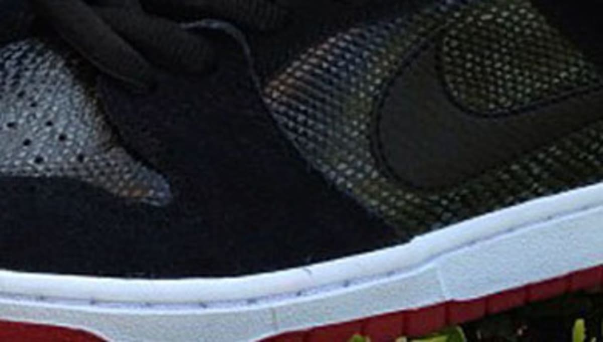 snakeskin nike sb