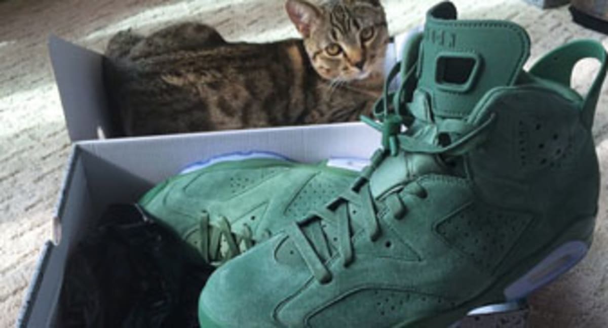 macklemore air jordan 6