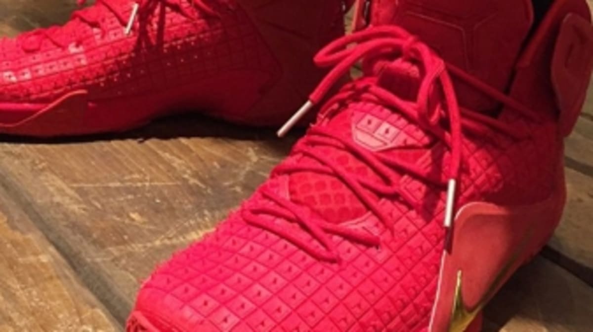 lebron james red shoes