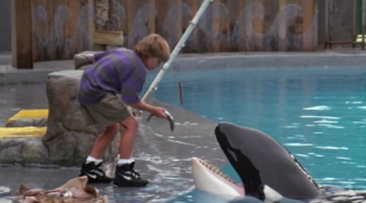 On-Screen Sneaker Sightings: Free Willy 