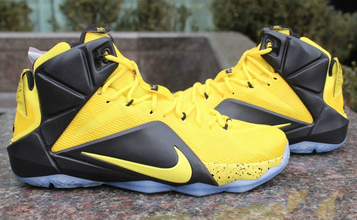 lebron oregon ducks