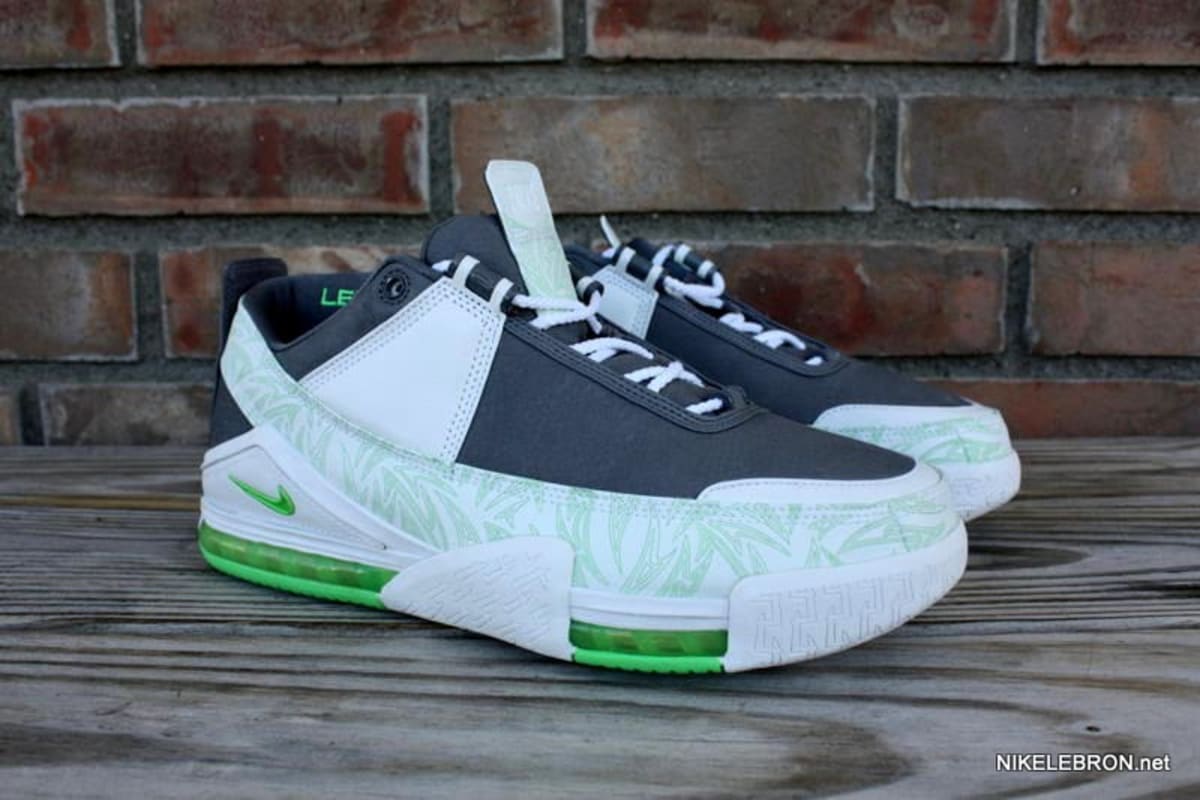 nike lebron 2 low