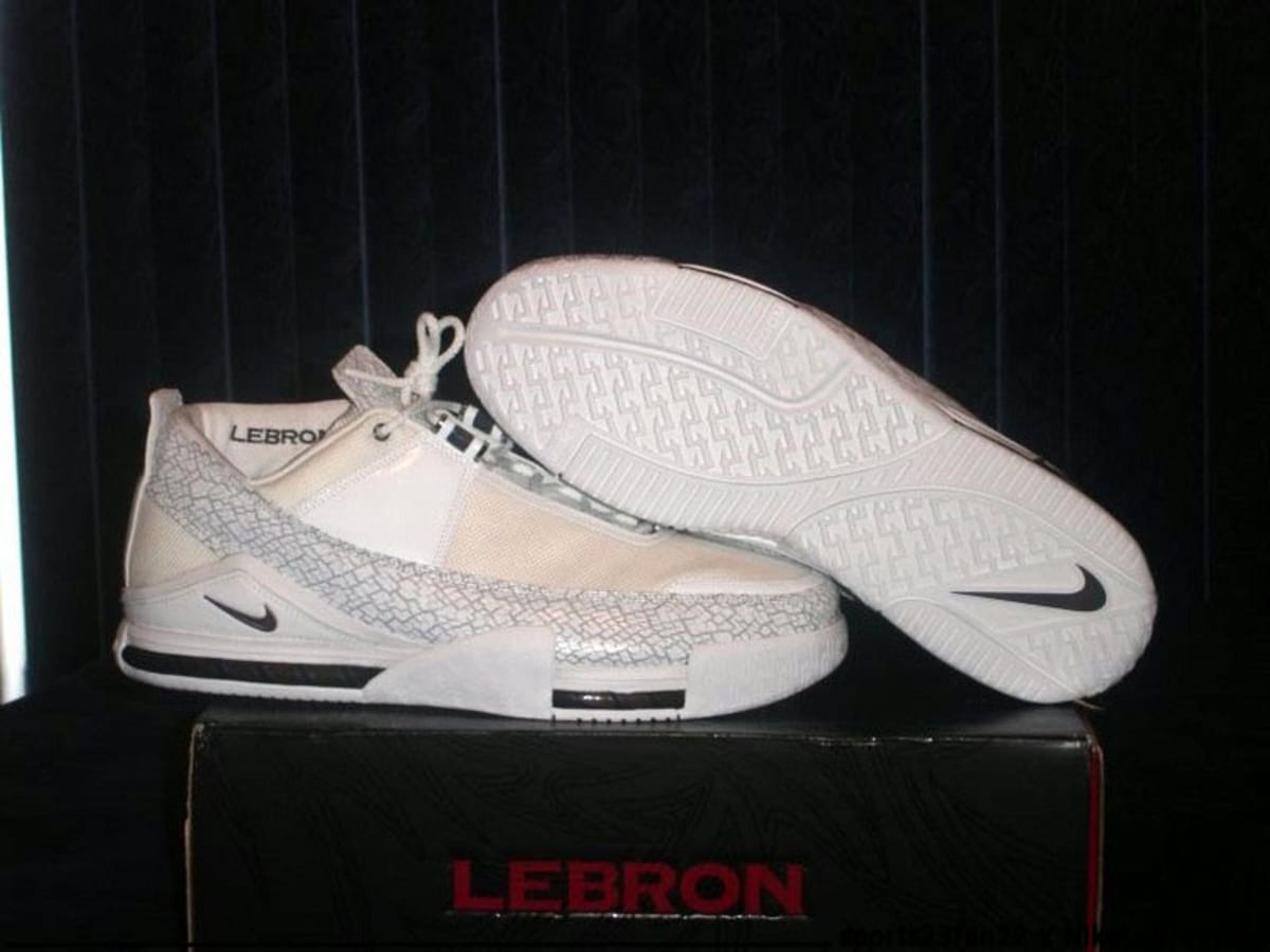 nike lebron 2004