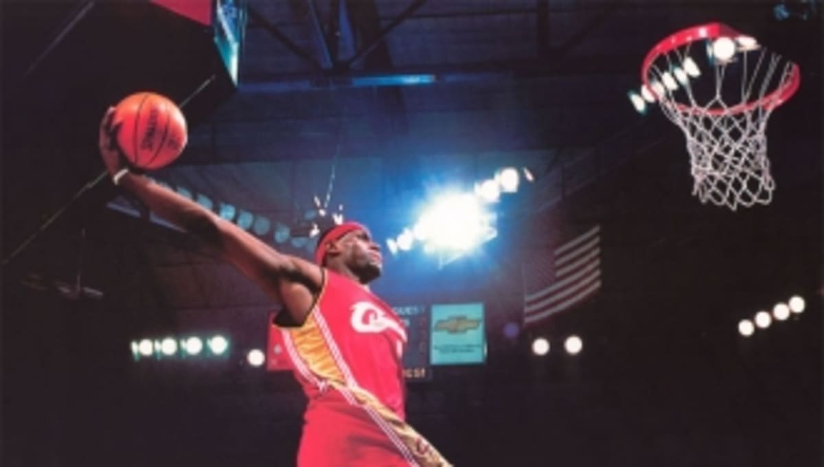 lebrons with lion on back