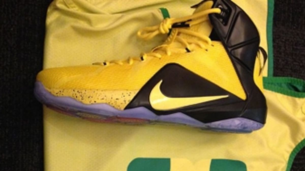 lebron oregon ducks shoes