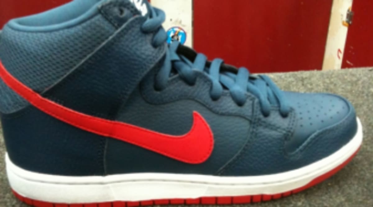 leather nike sbs