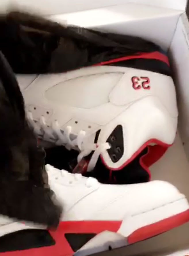 jordan 5 gucci