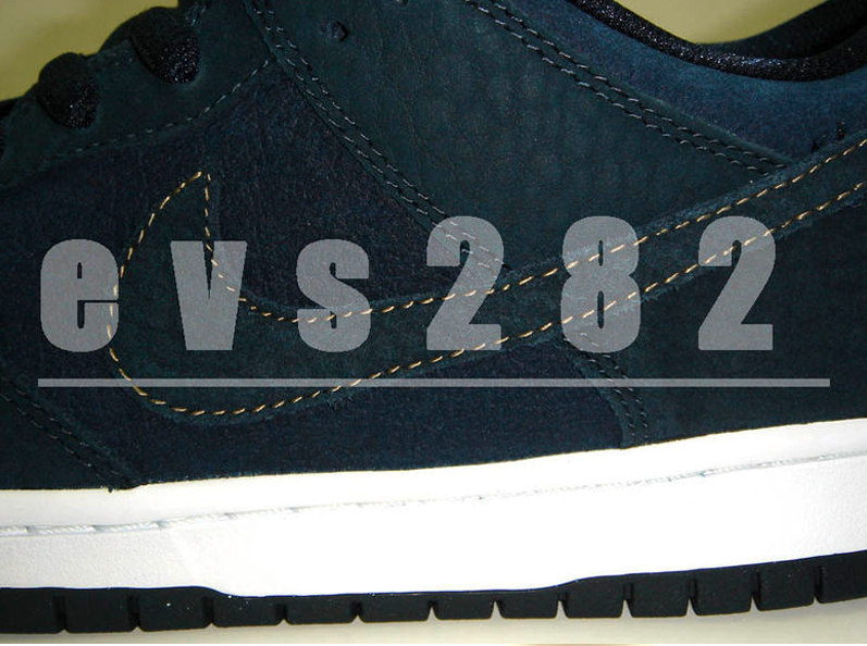 nike sb passport