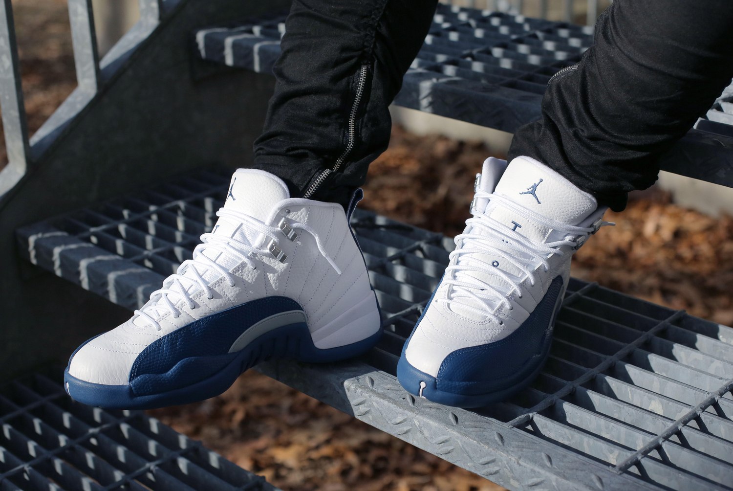 air jordan retro 12 french blue