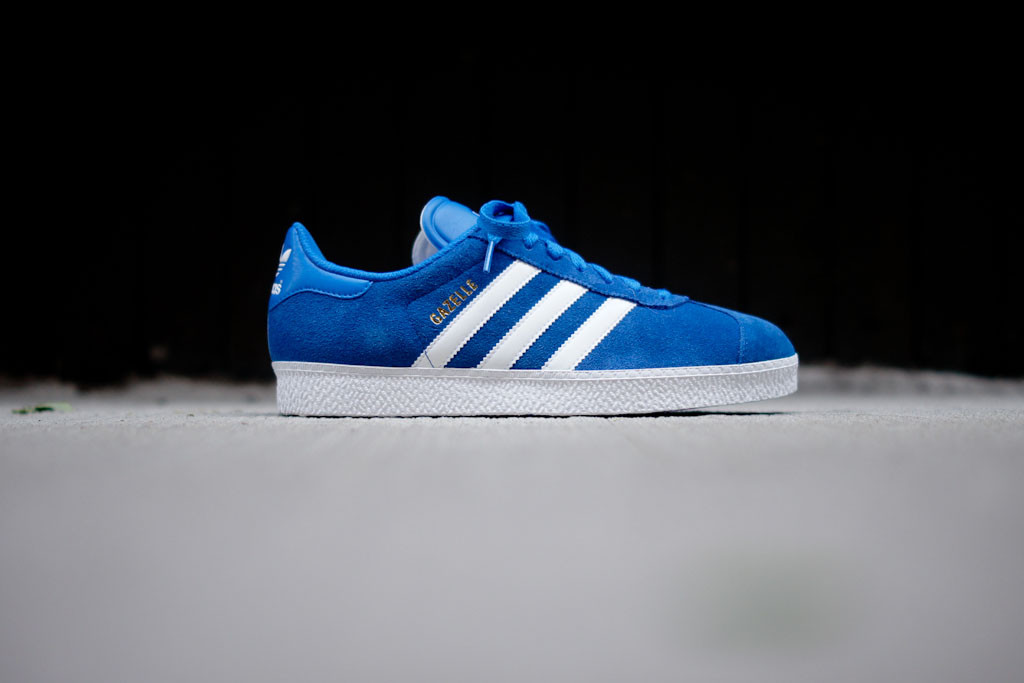 blue and white gazelles