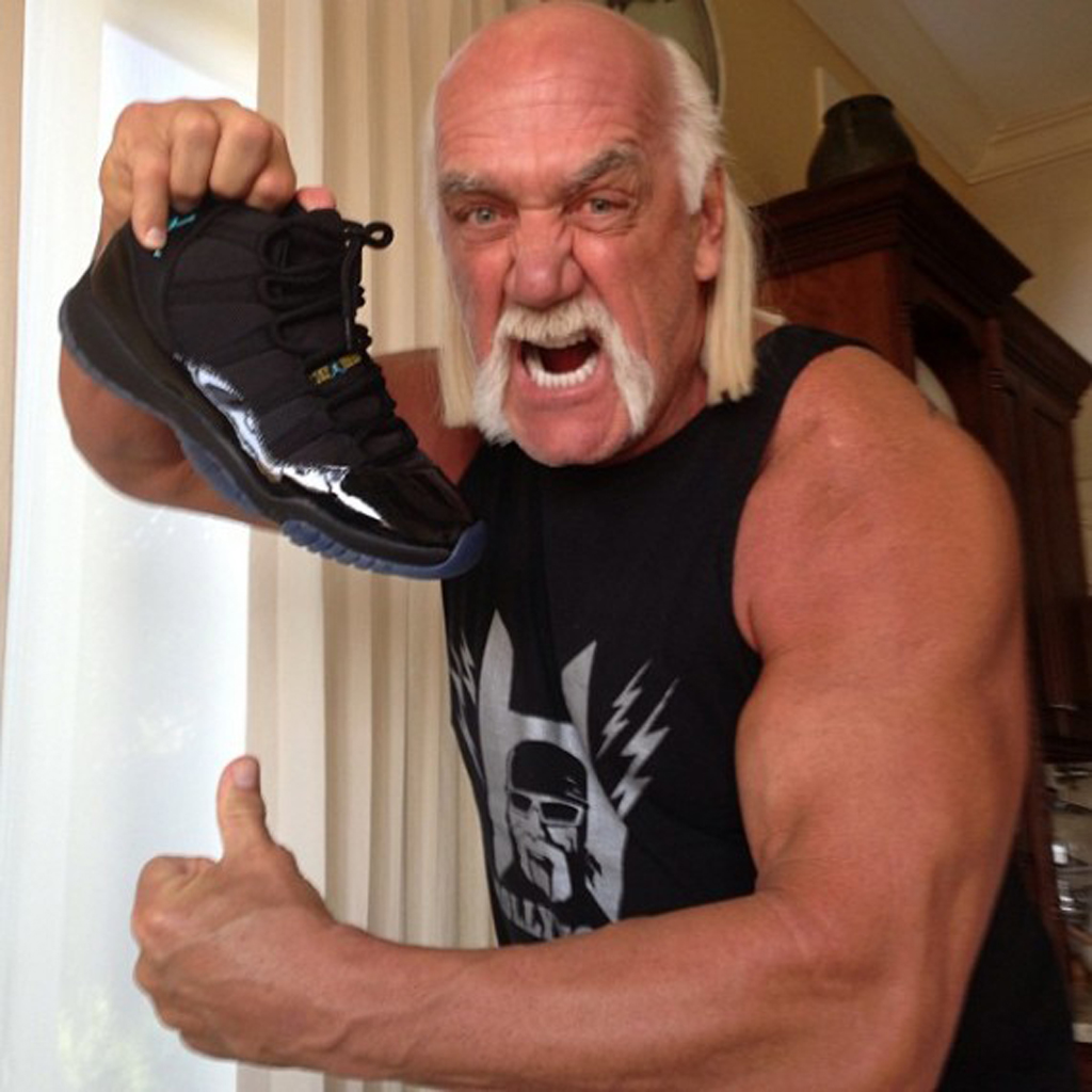 hulk hogan jordan shoes