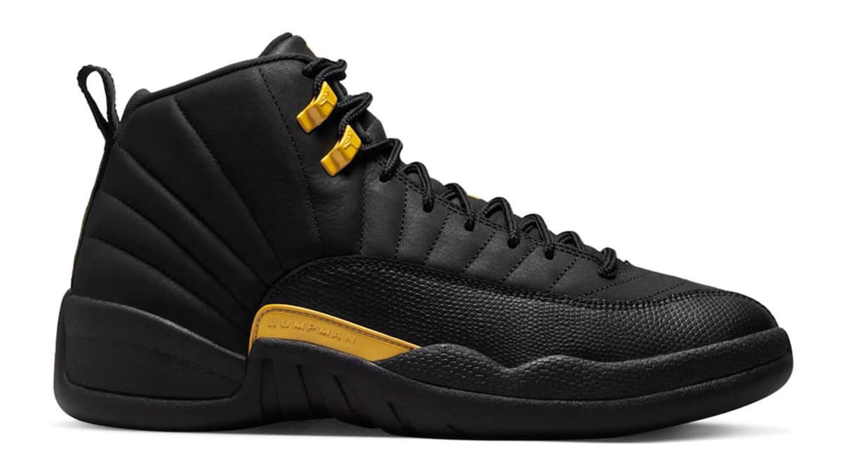 Air Jordan 12 