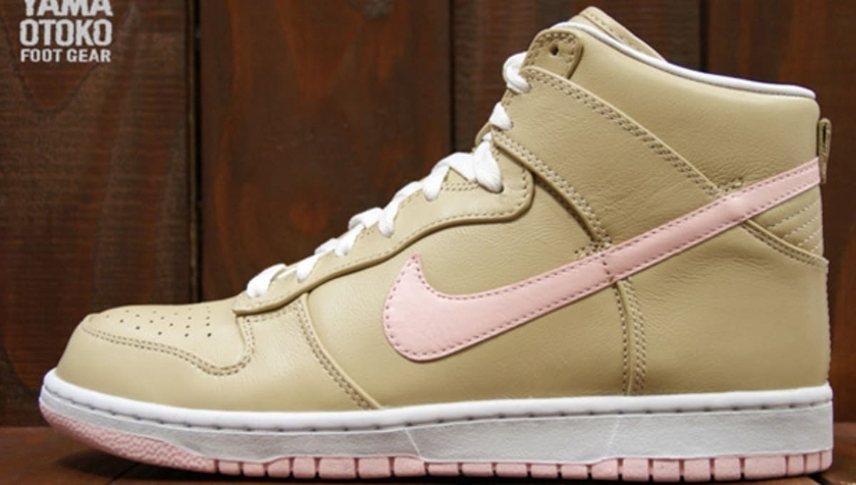 nike dunk atmosphere