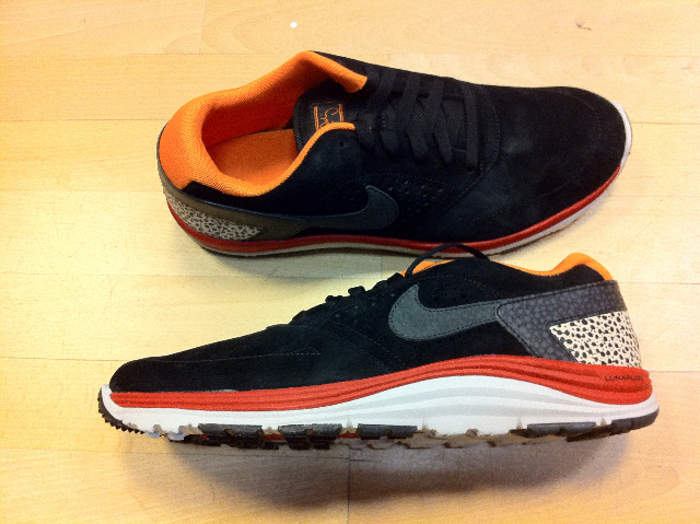 nike sb primitive