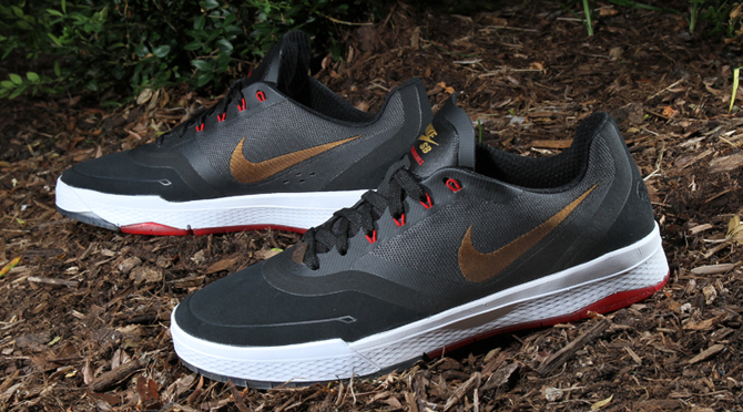 Nike SB Signature Model 