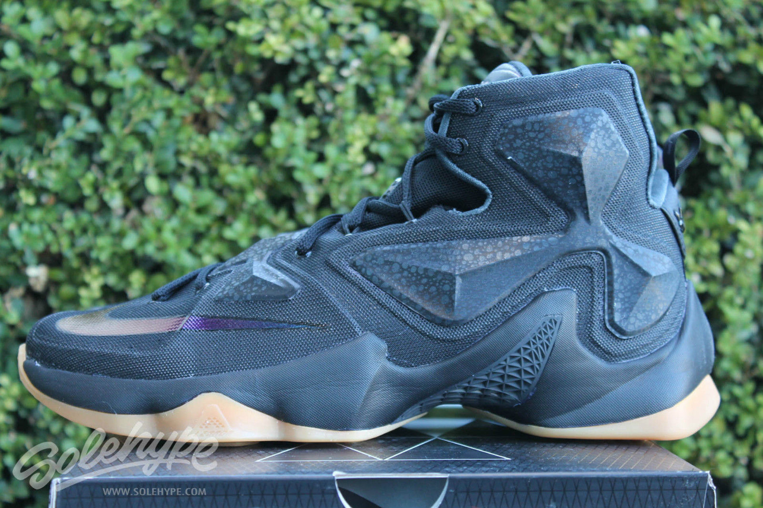 lebron 13 black lion