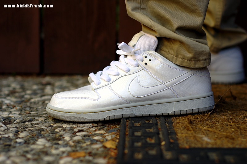 nike sb medicom 4