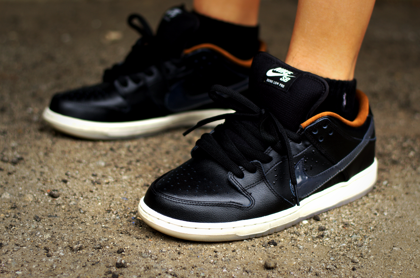 Nike SB Dunk Low Rain