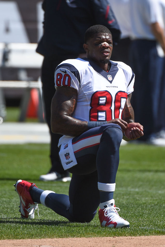 Andre Johnson wearing Air Jordan VI 6 Low Texans PE (1)