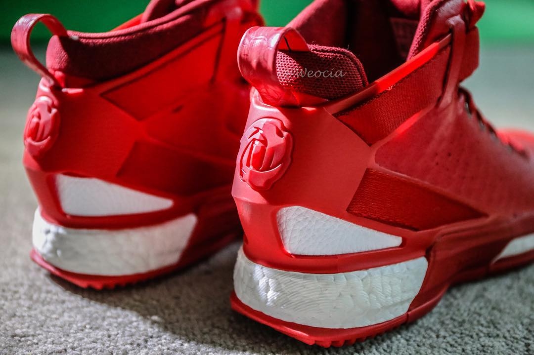 d rose shoes red