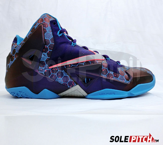 lebron hornets