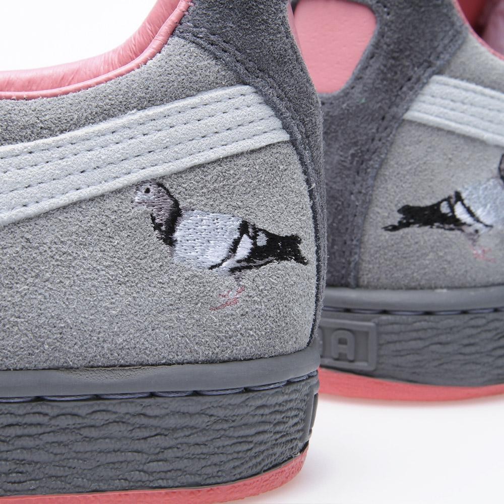 puma staple pigeon for sale