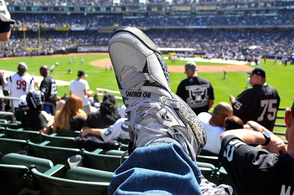 Nike Air Trainer Max 91 'Raiders'