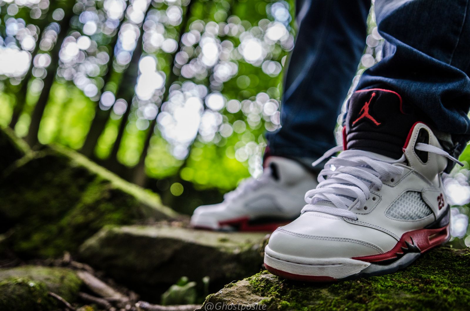 Air Jordan 5