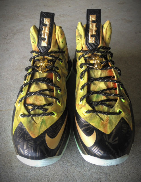 Nike LeBron X PS Elite "2-Time Champ Fusion" by Mache Custom Kicks (3)