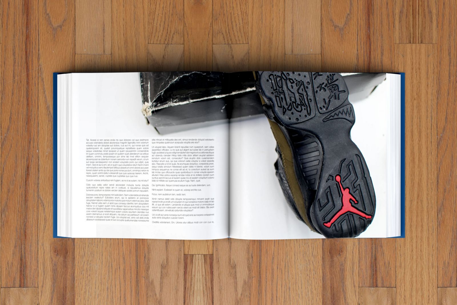 UPDATE: The Encyclopedia of Air Jordans | Sole Collector