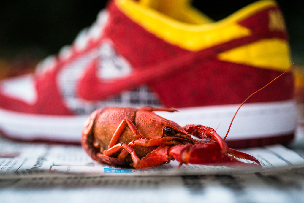 Nike sb dunk low on sale crawfish