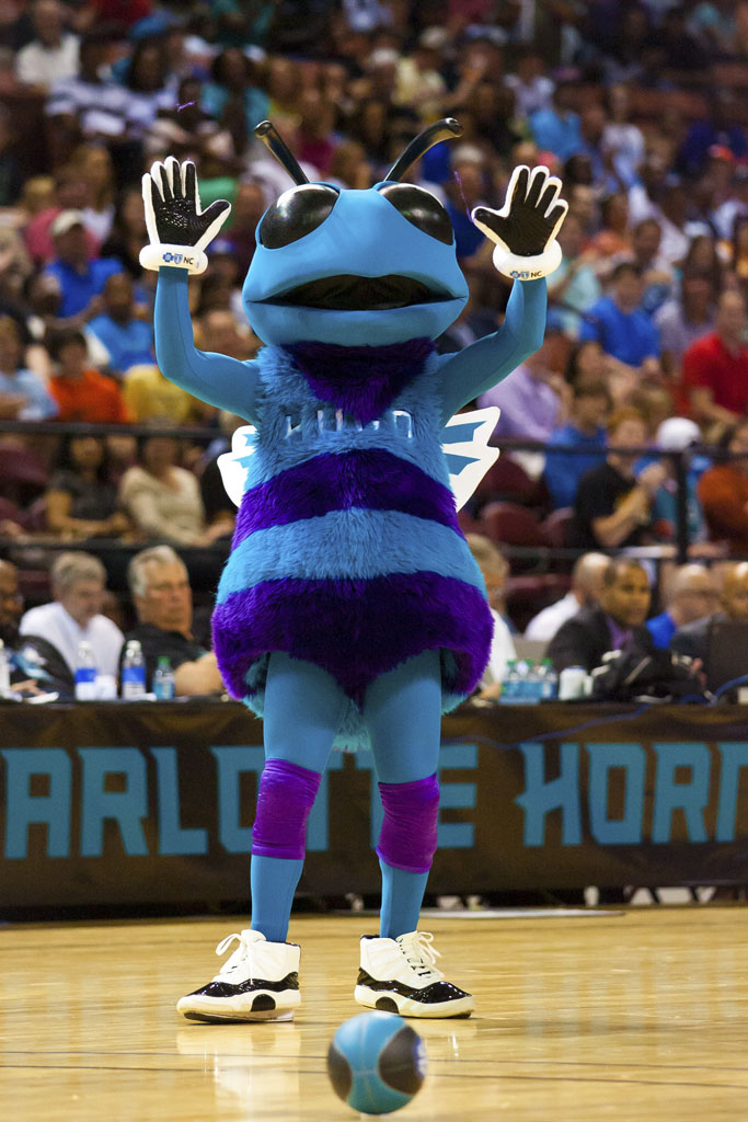 Hugo the Hornet Spotted in the 'Concord' Air Jordan 11 Last Night | Complex