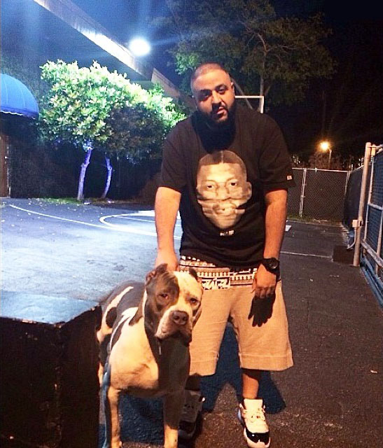 DJ Khaled wearing Air Jordan XI 11 Low Concord