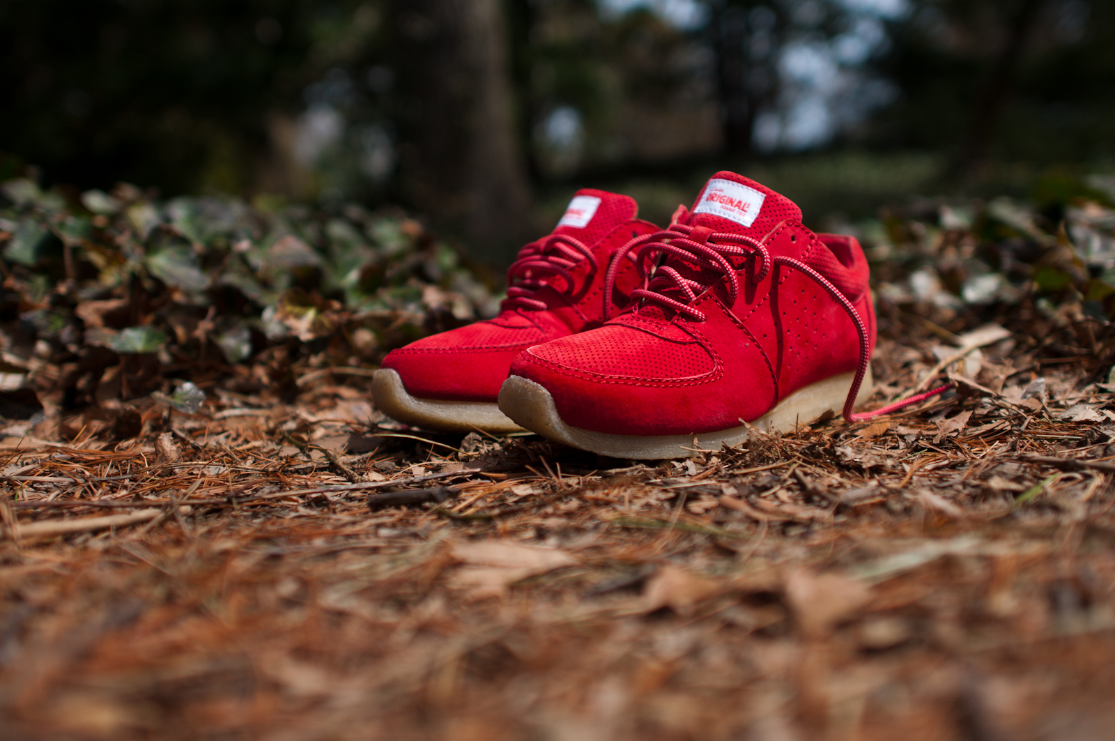 Clarks kildare shop ronnie fieg