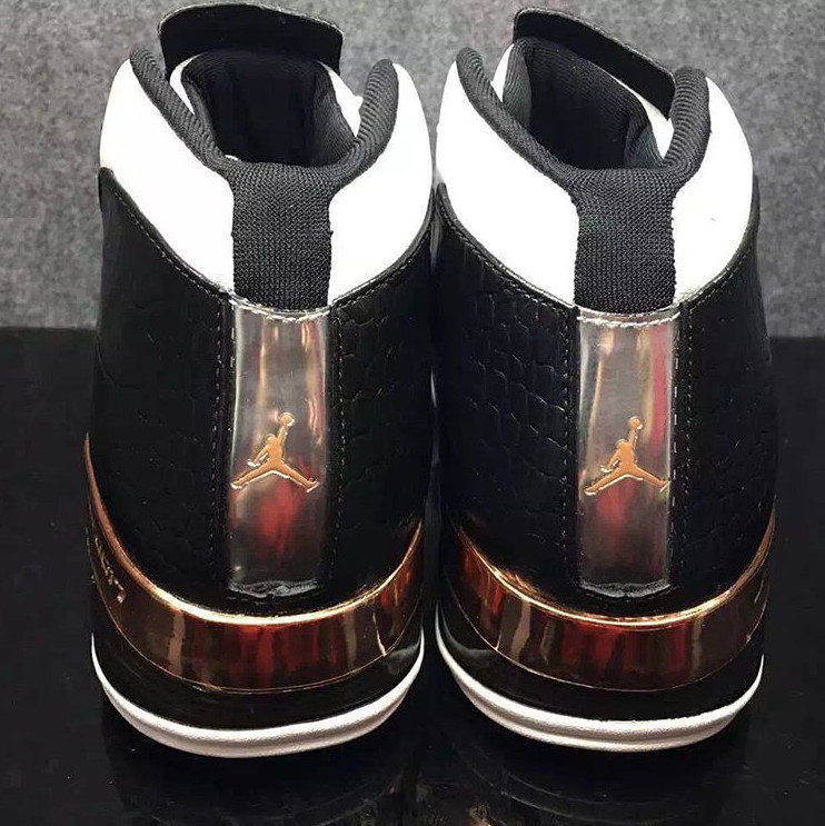 suitcase jordan 17s