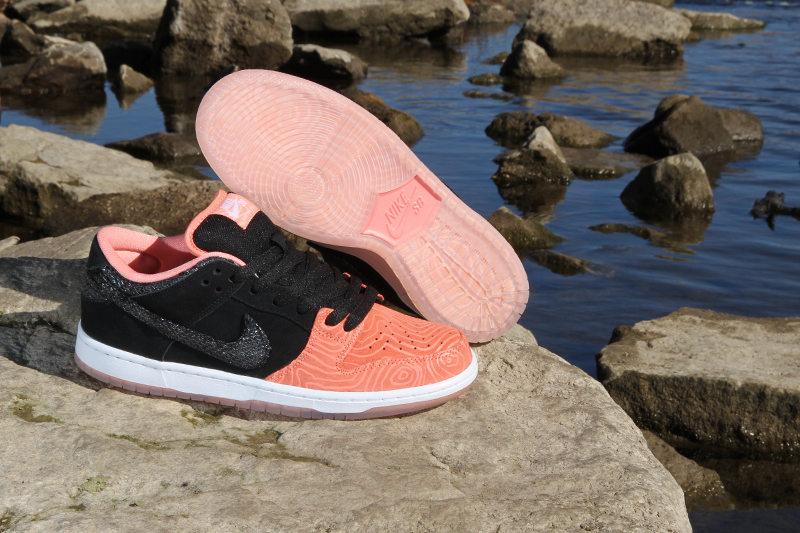 nike fish ladder