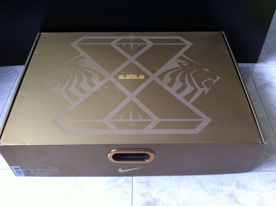 lebron 10 box