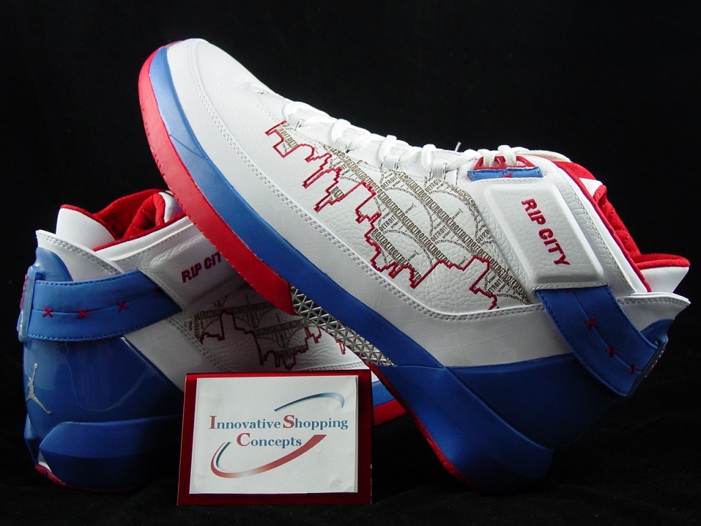 Rip Hamilton's Air Jordan XX2 PE Detroit Pistons Rip City PE (1)